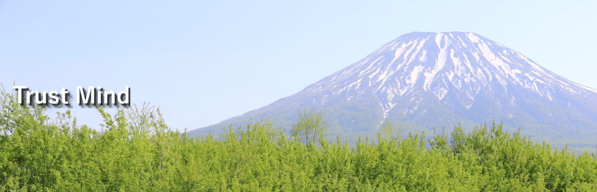 有限会社トラスト・イン